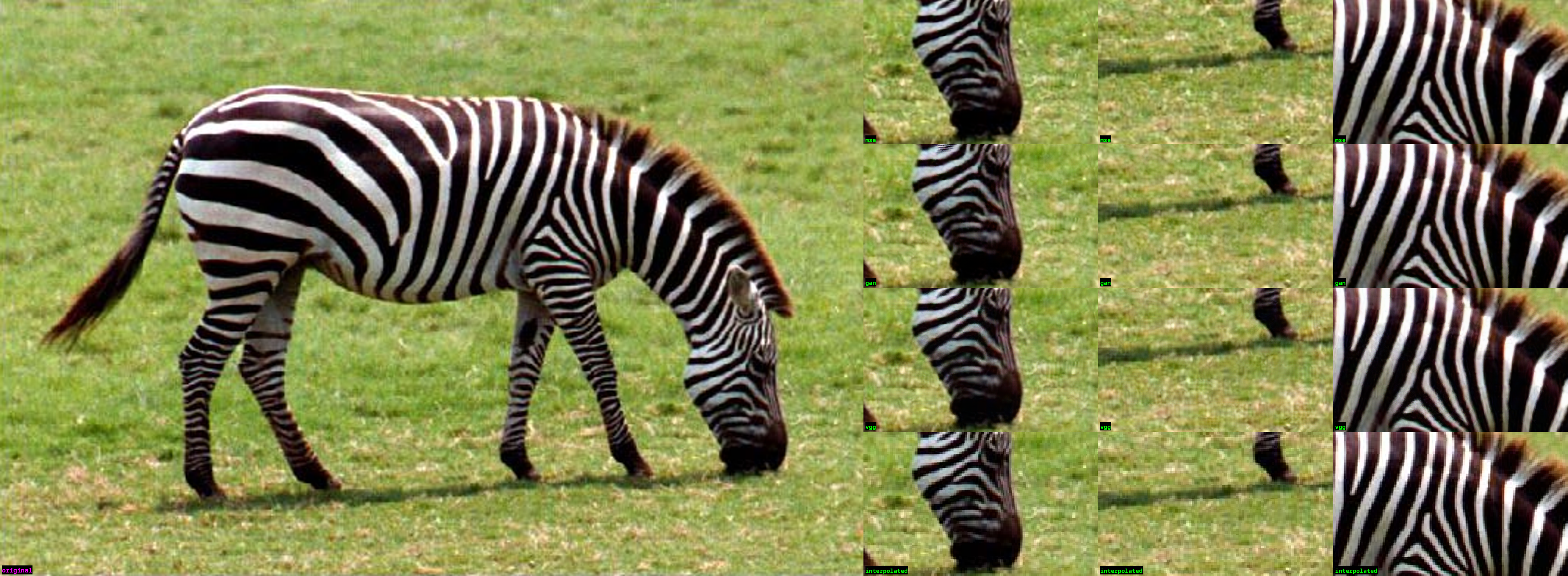 ../../_images/12_zebra.png