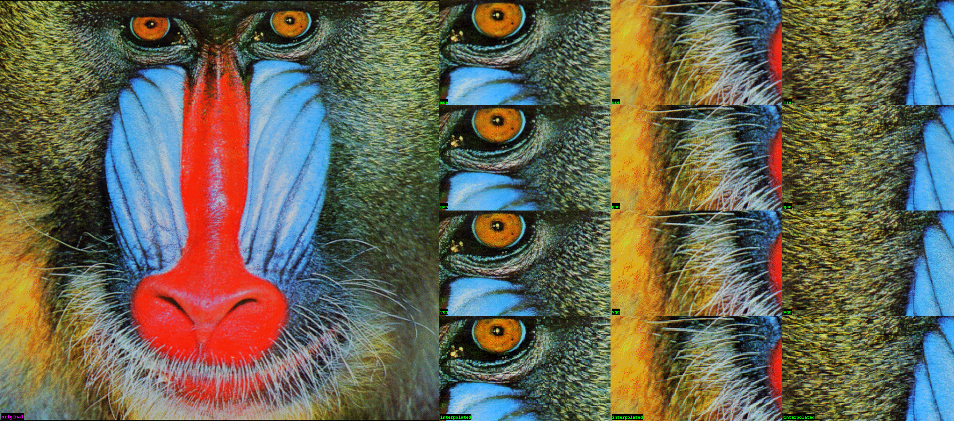 ../../_images/1_baboon.png