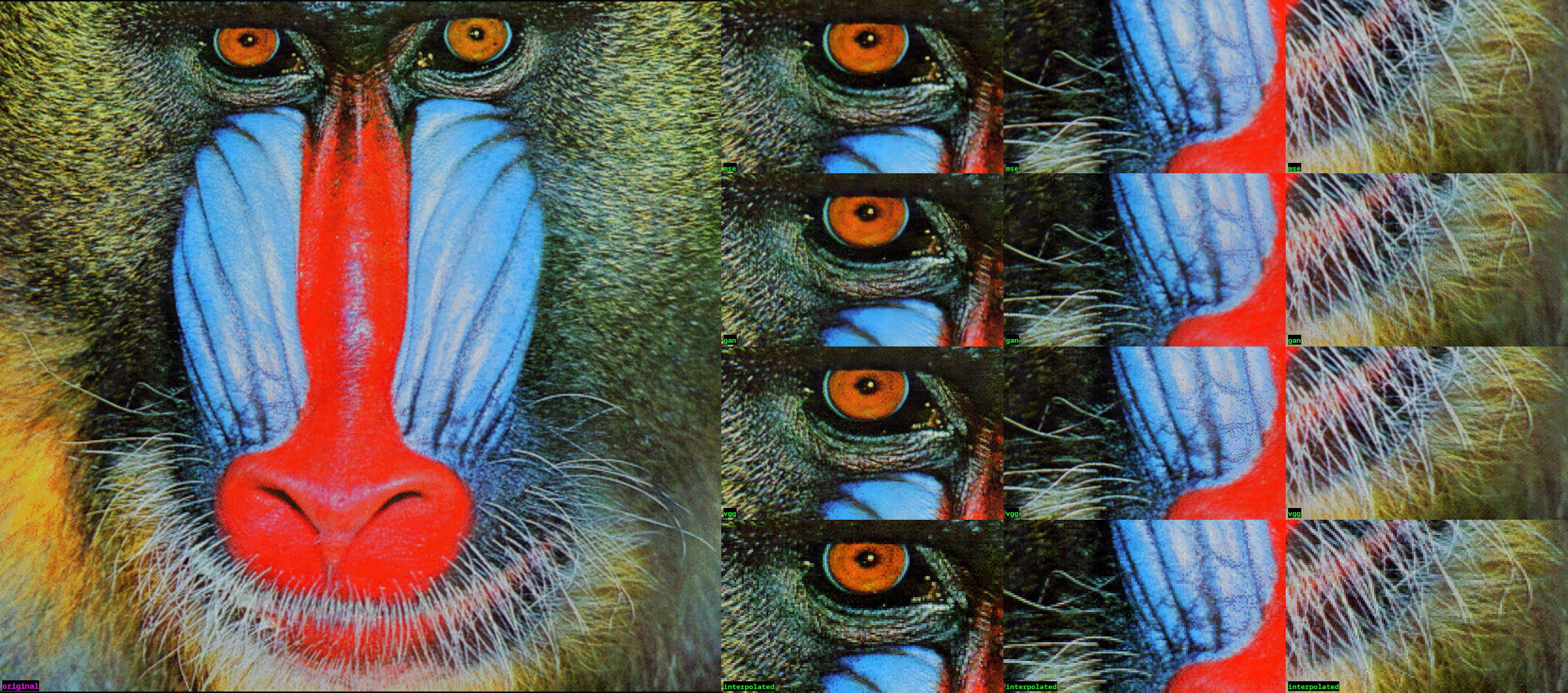 ../../_images/2_baboon.png
